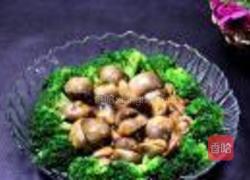 蚝油烧草菇的做法图解12