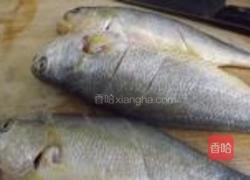 家常黄花鱼的做法图解1