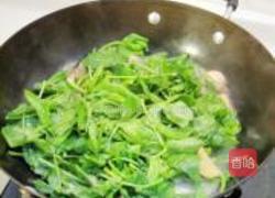 上汤豆苗的做法图解7