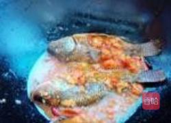 小蕃茄烧罗非鱼的做法图解8