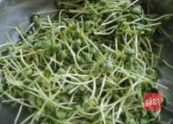 蒜蓉黑豆芽的做法图解1