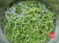 蒜蓉黑豆芽的做法图解4