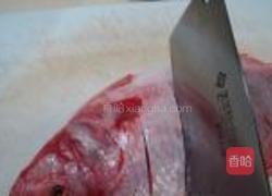 干烧加吉鱼的做法图解1