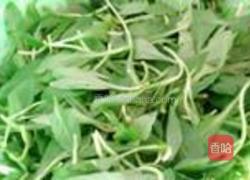 马兰拌春笋的做法图解4