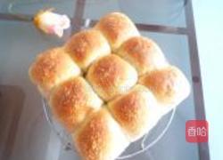 小麦胚芽餐包的做法图解12