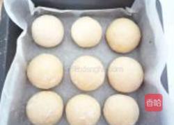 小麦胚芽餐包的做法图解9