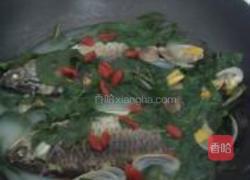 鲫鱼花蛤枸杞叶汤的做法图解10
