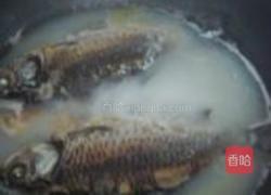 鲫鱼花蛤枸杞叶汤的做法图解8