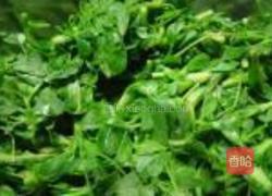 蒜炝苜蓿的做法图解3