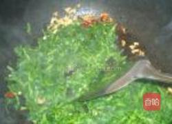 蒜炝苜蓿的做法图解5