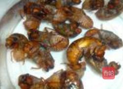 油炸知了的做法图解1