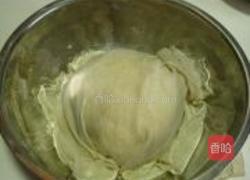 章鱼水饺的做法图解10