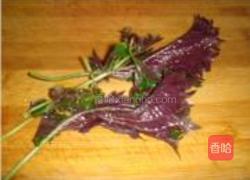 豆笋烧鸭子的做法图解1