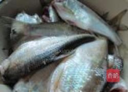 油炸小黄鱼的做法图解1