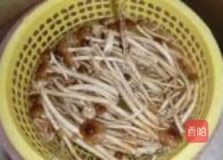 干炒茶树菇的做法图解2