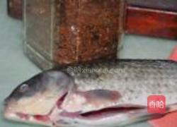 橄榄鲫鱼汤的做法图解1