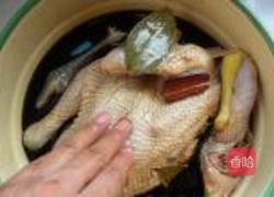 五香烤鸡的做法图解5