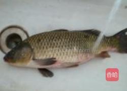 栖湖糖醋鲤鱼的做法图解1