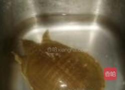 清炖甲鱼的做法图解1