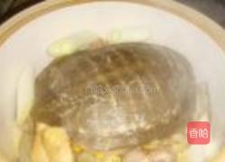 清炖甲鱼的做法图解6