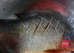 红烧鳊鱼的做法图解1