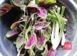 清炒苋菜的做法图解1