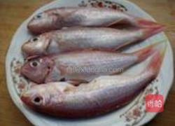 香煎红鱼的做法图解1