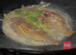 清煮海鲳鱼的做法图解7