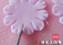 翻糖康乃馨的做法图解15
