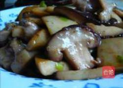 蚝油双菇的做法图解7