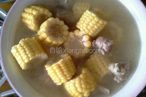 玉米炖排骨