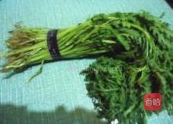 蒜蓉茼蒿的做法图解1
