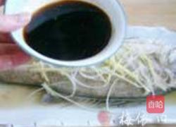 清蒸鲈鱼的做法图解5