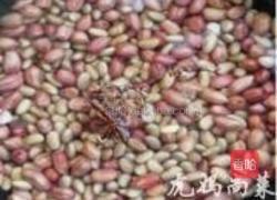 椒子酱的做法图解2