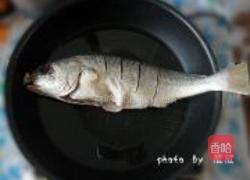 红烧肉丝鲈鱼的做法图解5