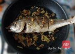 红烧肉丝鲈鱼的做法图解8