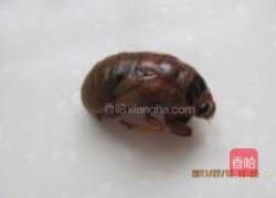 香酥金蝉的做法图解1