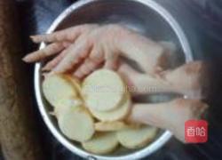 鲜山鸡脚汤的做法图解1