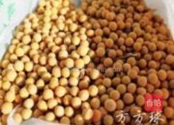 黄豆芽炒粉的做法图解1