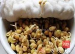 黄豆芽炒粉的做法图解4