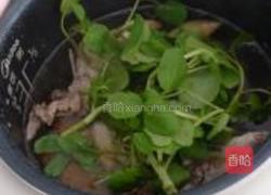 西洋菜蜜枣鸡汤的做法图解5