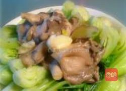平菇油菜的做法图解5