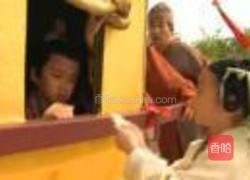 糖莲子的做法图解11