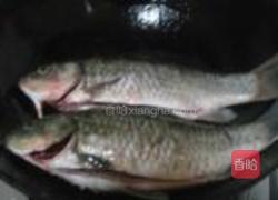 鲫鱼烧香菜的做法图解5