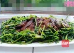 鲫鱼烧香菜的做法图解9