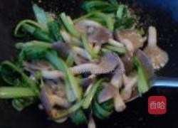 青菜炒蘑菇的做法图解5