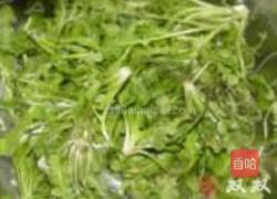 冬瓜蓉荠菜汤的做法图解5