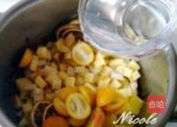 洛神花果茶的做法图解4