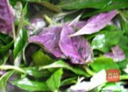 蒜香紫贝菜的做法图解5