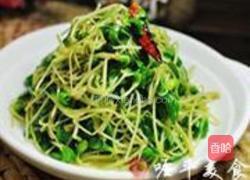 清炒黑豆苗的做法图解4